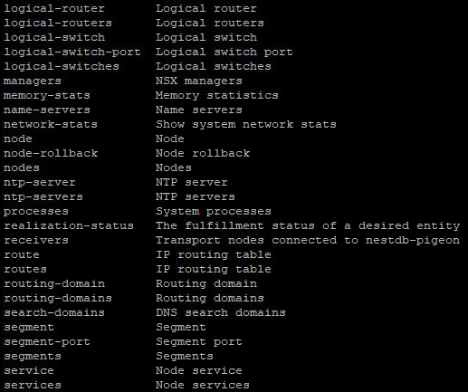running the nsxcli get command through the CLI shows options